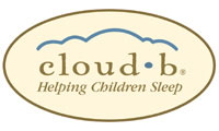 logo cloud b